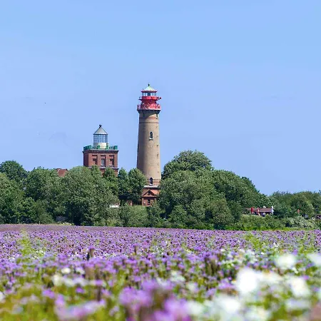 Fewo Inselschwalbe_ Strandnah * Kreptitz